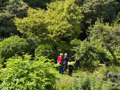 Neuigkeiten im Sommer: Workshop am 25.07.20206