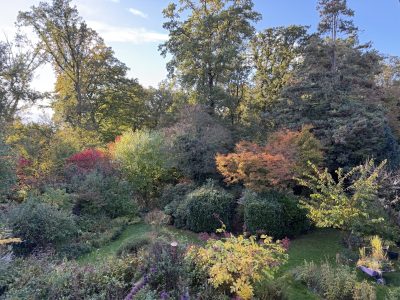 Herzliche Einladung zum Gartenworkshop am 24.Oktober!